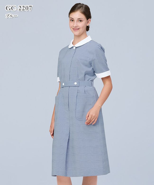 ���ߥåȽ��Ҽ½���Ⱦµ[�ʥ����졼�٥�����]��GC-2207