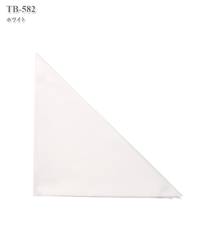 三角巾Lサイズ（2枚組）[ナガイレーベン製品] TB-582｜THS-白衣通販・販売