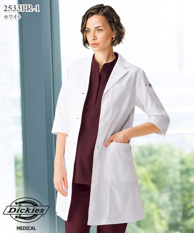 �ǥ��å�������ǥ�����᥷�󥰥륳���ȼ�ʬµ[�ե���������]��2533PR