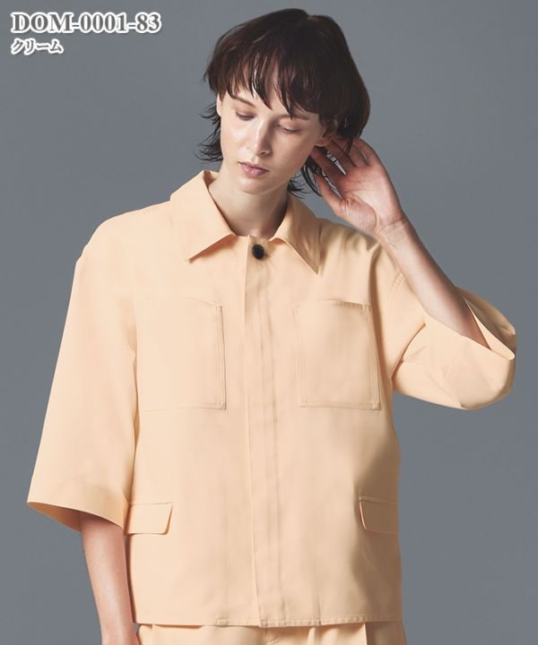 �˽����ѥե����ʡ��������ϻʬµ[���ȥ�����]��DOM-0001