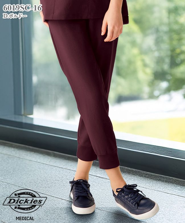 �ǥ��å�������ǥ������祬���ѥ��[�ե���������]��6019SC