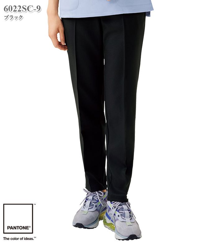 PANTONE��ǥ����ѥ��[�ե���������]��6022SC