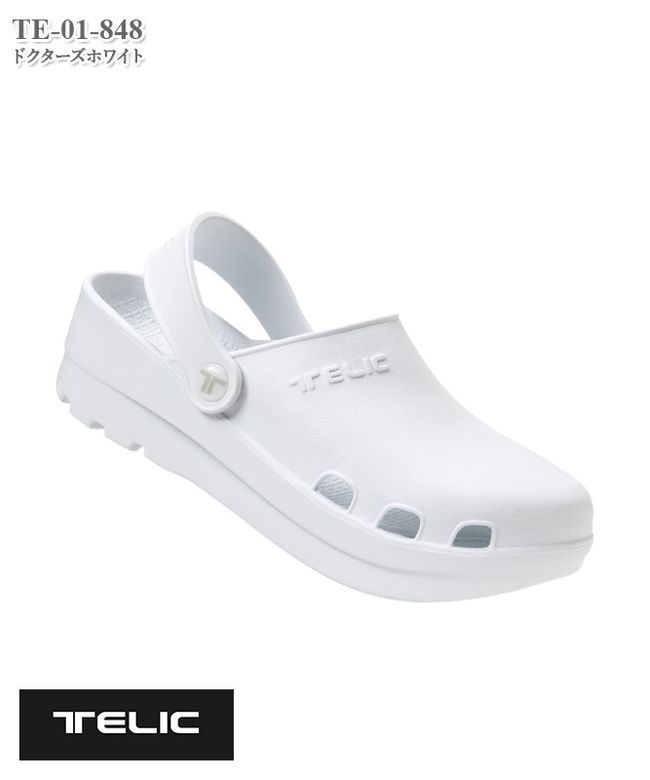 TELIC����ե������ܡ�[�ǥ����ե���������]�� TE-01
