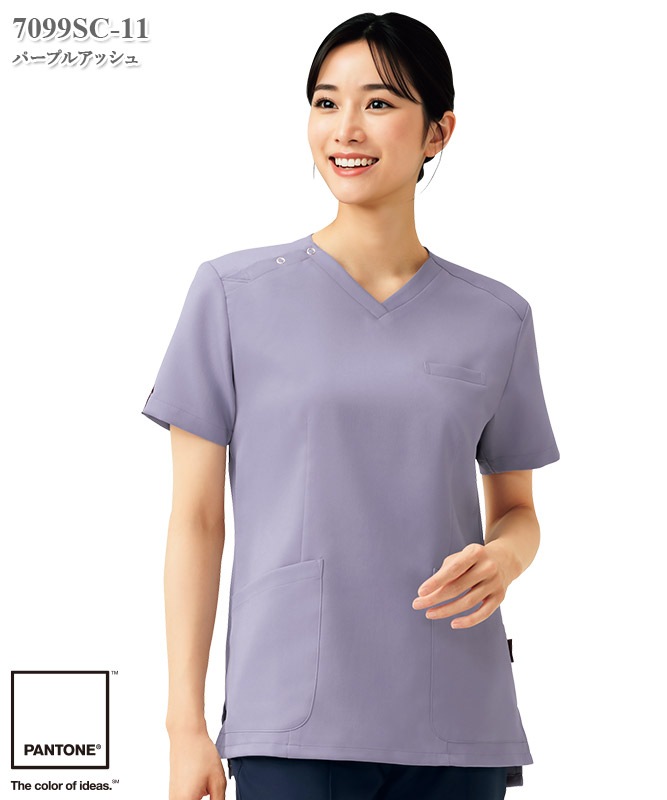 PANTONE��ǥ����������[�ե���������]��7099SC