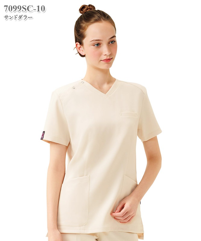 PANTONE��ǥ����������[�ե���������]��7099SC