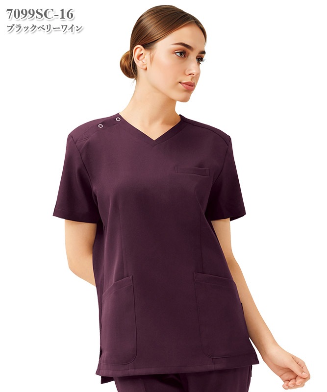 PANTONE��ǥ����������[�ե���������]��7099SC