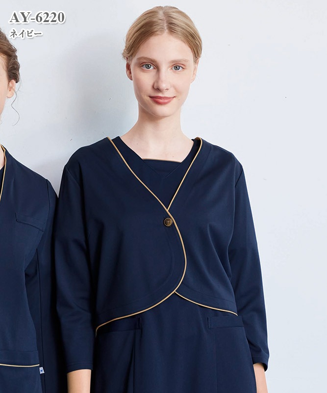 ���ҥ����ǥ�����[�ʥ����졼�٥�����]��AY-6220