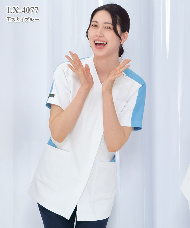 ���ҥ������Ⱦµ[�ʥ����졼�٥�����]��LX-4077