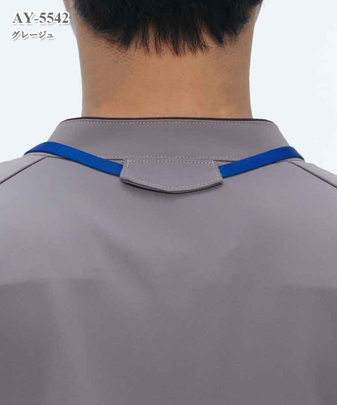 �˽����ѥ������Ⱦµ[�ʥ����졼�٥�����]��AY-5542