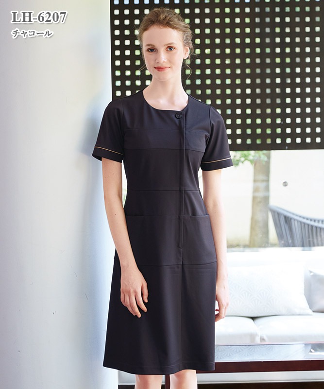 ���ԡ���Ⱦµ[�ʥ����졼�٥�����]��LH-6207