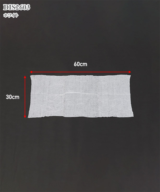 ѥܥǥåȥ(30Բľ)[medicom]DIS2603