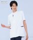 �˻Ҿ��Ⱦµ[�ʥ����졼�٥�����]��HO-1637