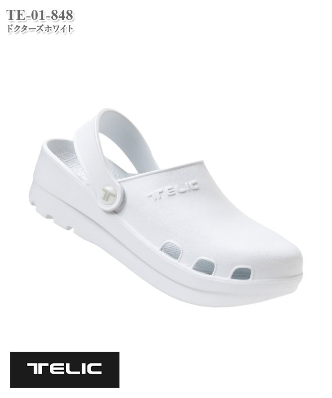 TELIC����ե������ܡ�[�ǥ����ե���������]�� TE-01