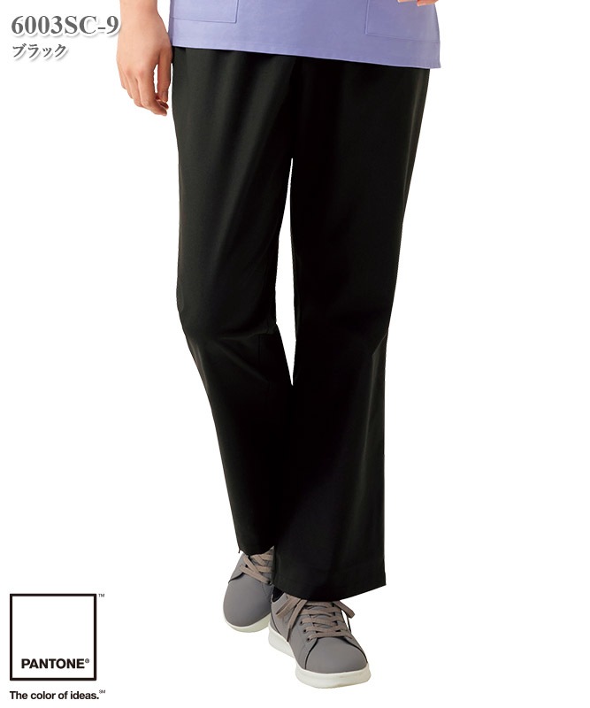 PANTONE�˽����ѥ��ȥ졼�ȥѥ��(������)[�ե���������]��6003SC