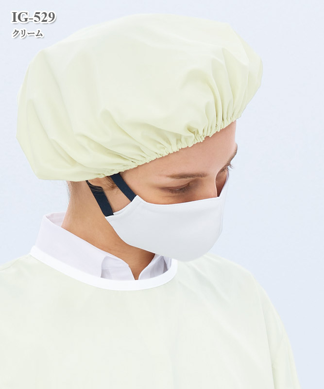 �˽����ѥ������졼����󥭥�å�(2����)[�ʥ����졼�٥�����]��IG-529