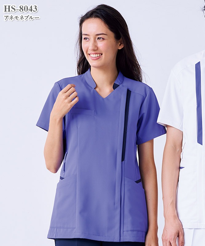 ��ǥ��������ɥե����ʡ��������Ⱦµ[����������]��HS-8041��8061