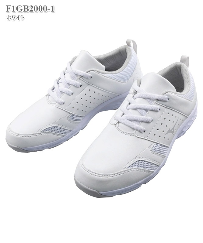 �ߥ��ΰ����ѥ��塼�������ե�����AF(�����Բľ���)[���ȥ�����]��F1GB2000