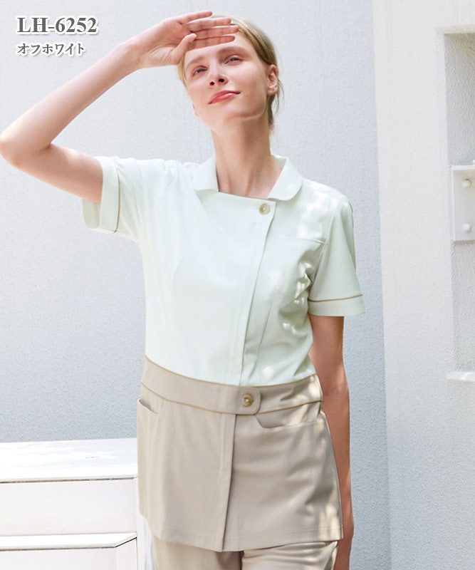 ���ҥ���˥å�Ⱦµ[�ʥ����졼�٥�����]��LH-6252