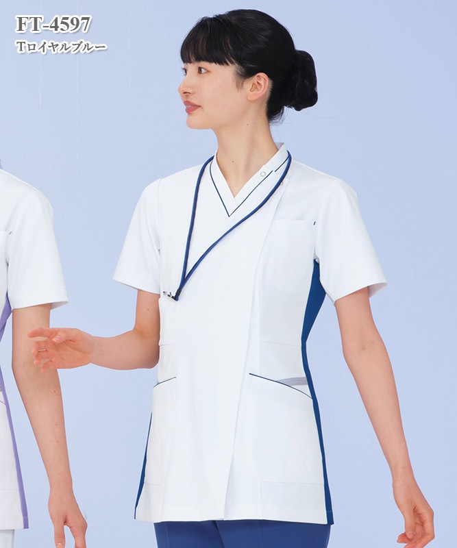 ���ҥ������Ⱦµ[�ʥ����졼�٥�����]��FT-4597