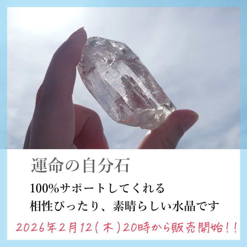 ���ʤ��򥵥ݡ��Ȥ��롢��̿�μ�ʬ��