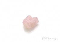 ��륬�ʥ��Ȥθ��У�