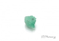 ������ɤη뾽��