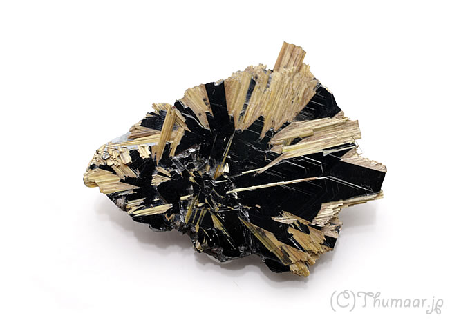 �����θ��У�