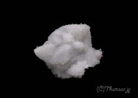 ��ƶ�徽��