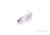 �٥饯�륹���᥸���Ȥη뾽��