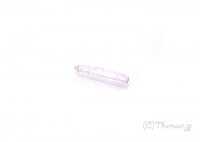 ����ĥ����Ȥθ��У�