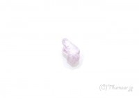 ����ĥ����Ȥθ��У���