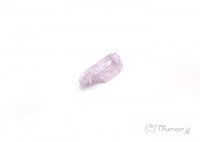 ����ĥ����Ȥθ��У���