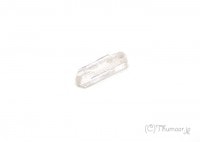 ����ӥ�饤�Ȥθ��У���