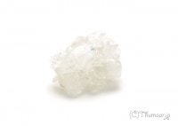 ���ݥե��饤�Ȥθ��У�