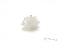 ���ݥե��饤�Ȥθ��У���