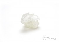 ���ݥե��饤�Ȥθ��У���