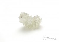 ���ݥե��饤�Ȥθ��У���