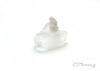 ���ݥե��饤�Ȥθ��У���