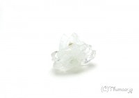 ���ݥե��饤�Ȥθ��У���