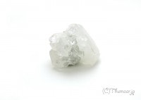 ���ݥե��饤�Ȥθ��У���