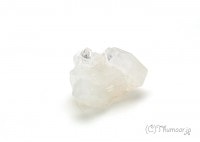 ���ݥե��饤�Ȥθ��У���