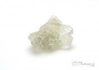 ���ݥե��饤�Ȥθ��У���