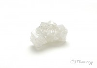 ���ݥե��饤�Ȥθ��У���