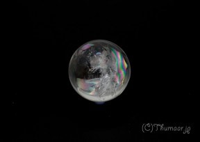 �쥤��ܡ��������Ĥδݶ̣�