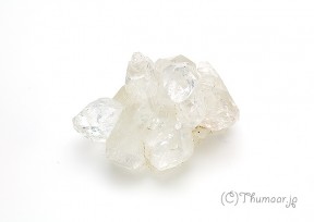 ���ݥե��饤�Ȥθ��У���