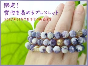 �ڸ�������������֥쥹��å�