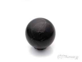 ��ꥪ��δݶ̣�