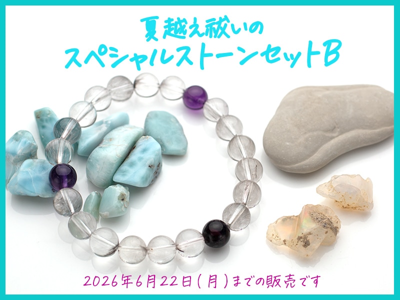 �Ʊۤ�㱥��ڥ���륹�ȡ��󥻥åȡʣ¡�