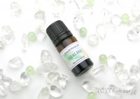 �ڸĿ������HEALING������