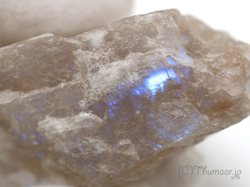 ����Х��ȥࡼ�󥹥ȡ���θ��У�